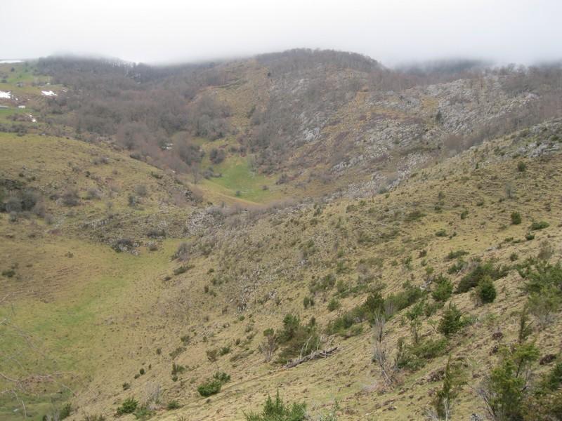ahuzki_130327_02.jpg