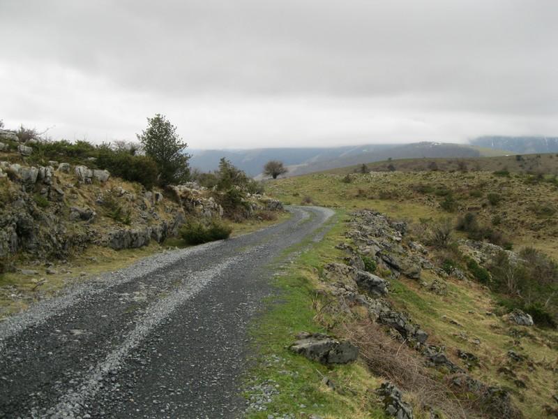 ahuzki_130327_03.jpg