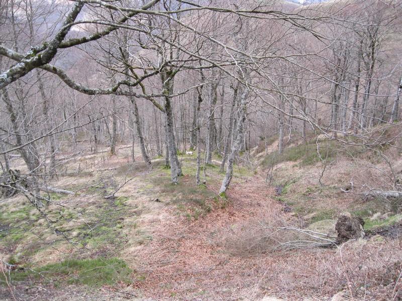 abakia_130329_05.jpg