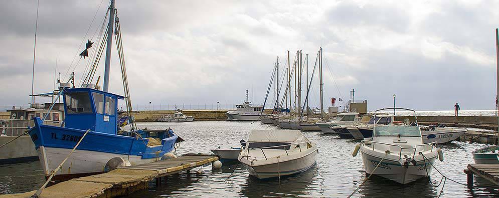 Salin.jpg