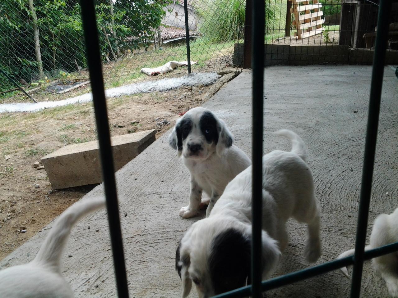 20140615_164248.jpg