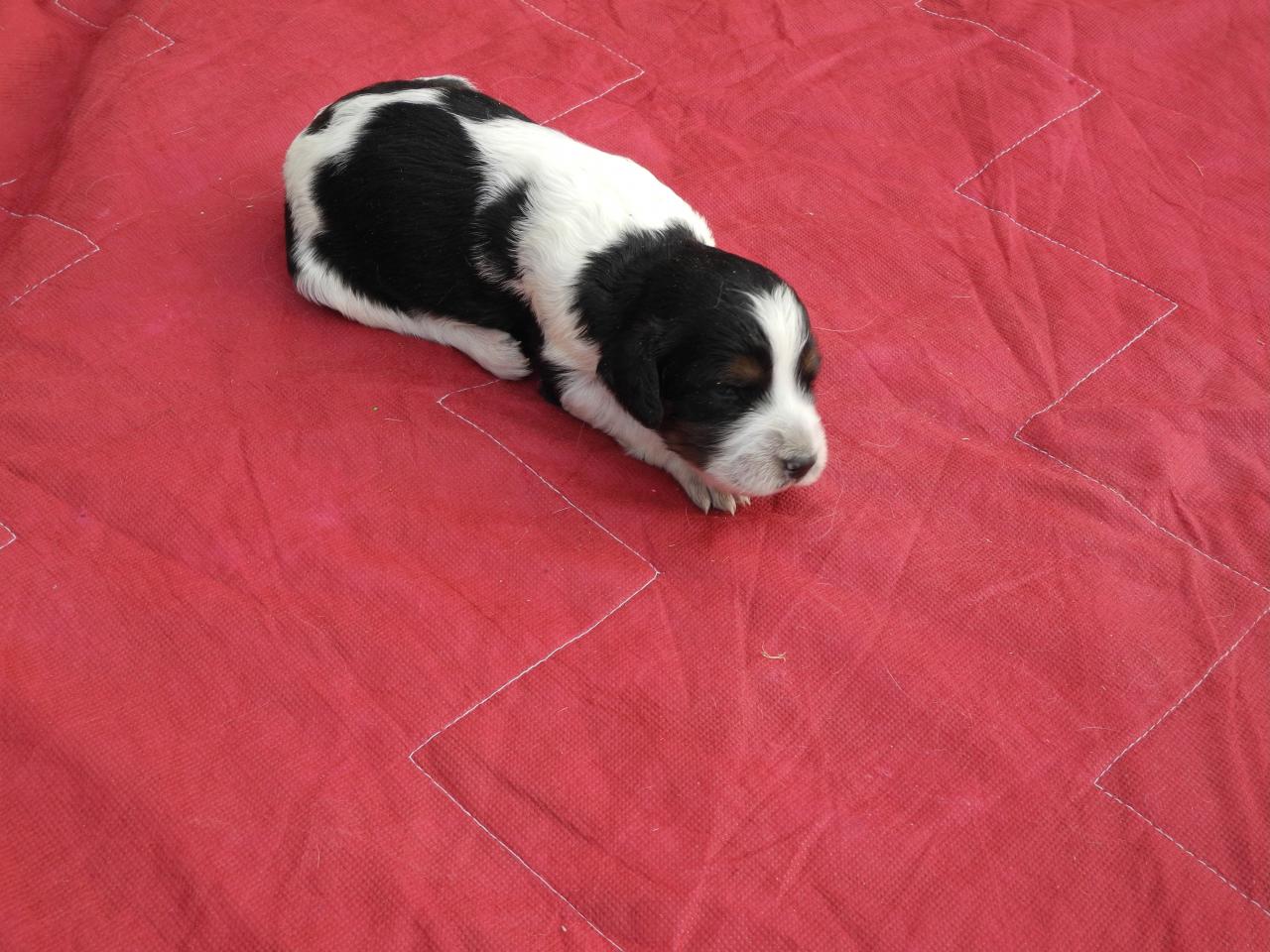 DSCN3840.JPG