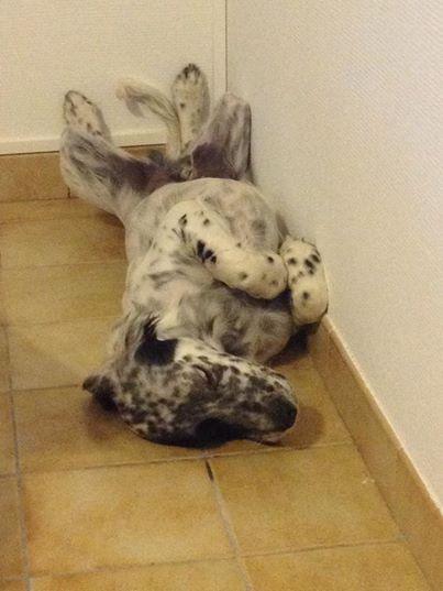 mon bébé.jpg