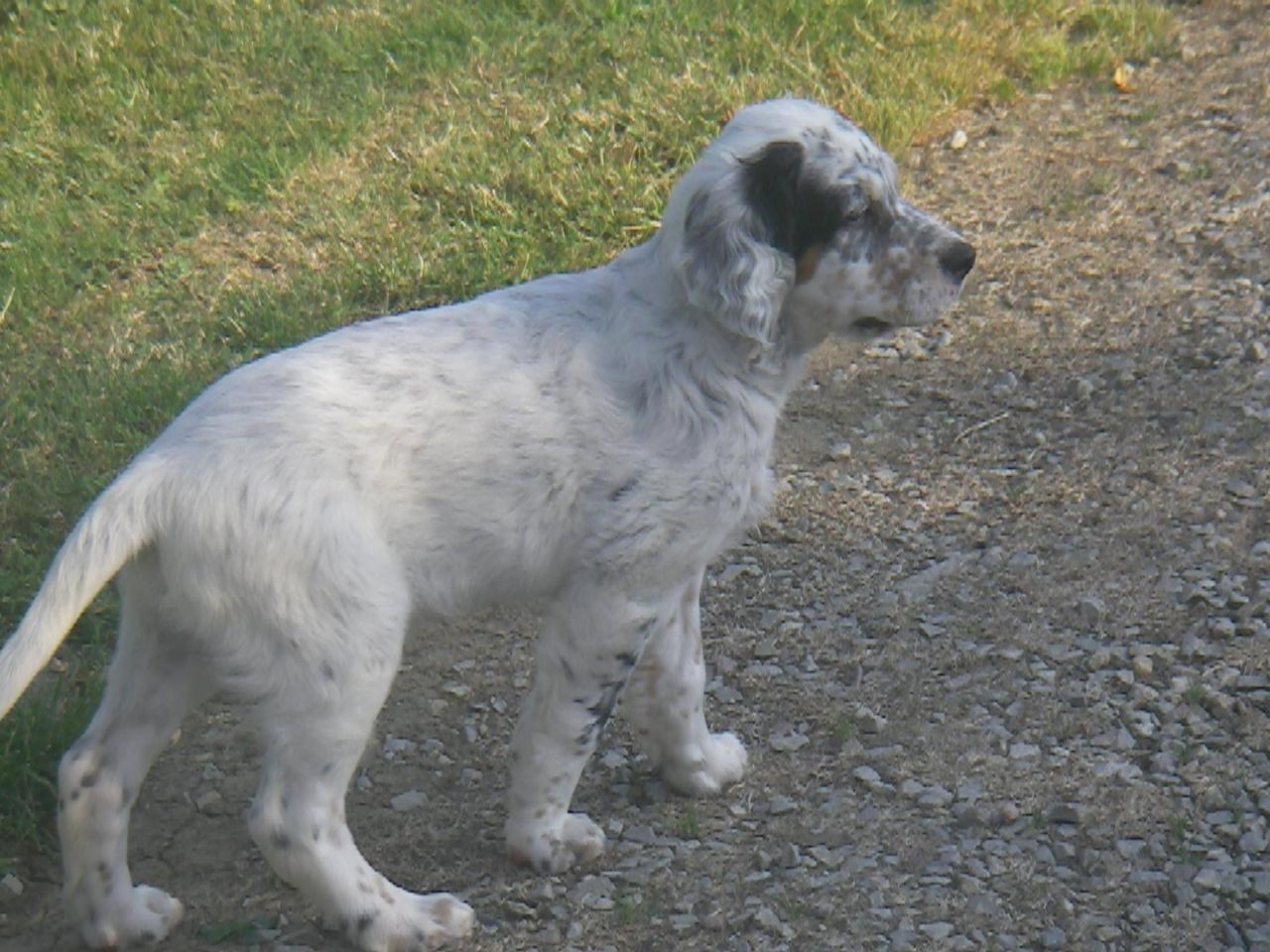 IMGP0138.JPG
