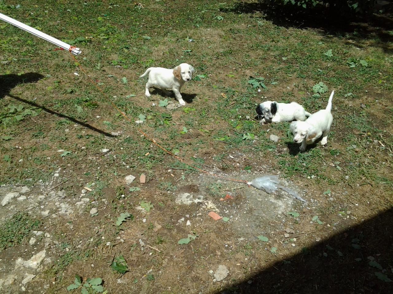 20140629_150903.jpg