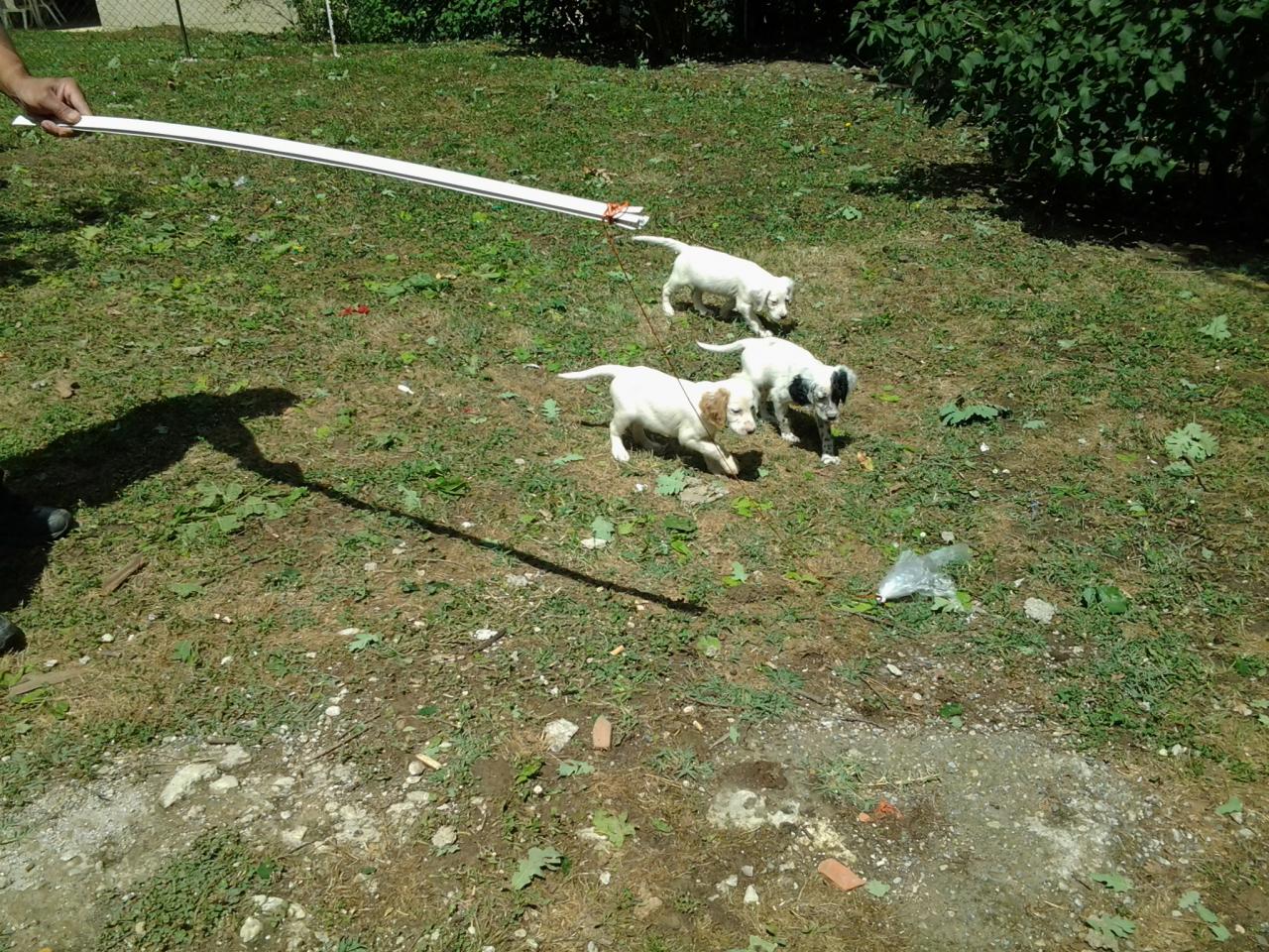 20140629_150854.jpg