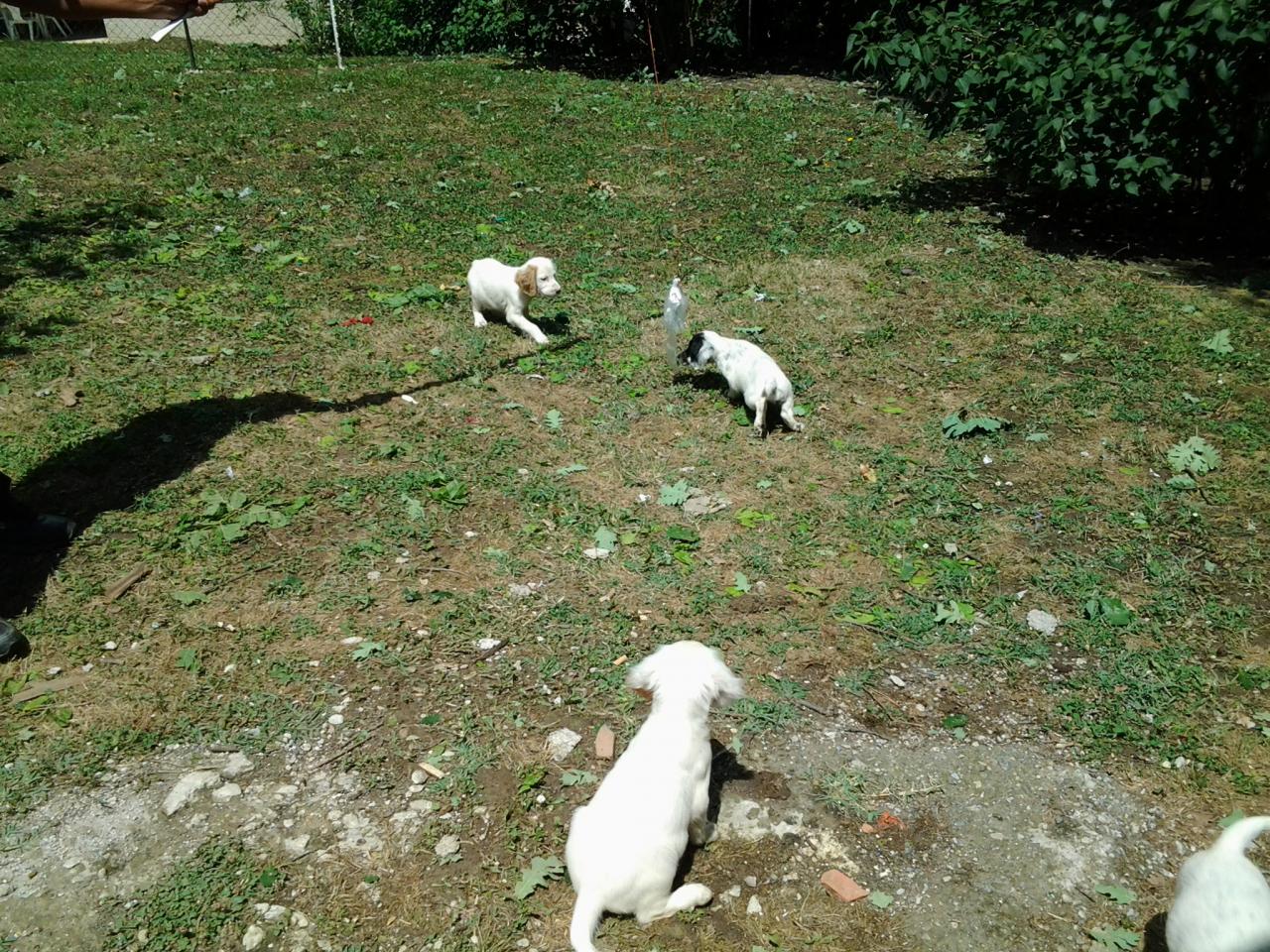 20140629_150849.jpg