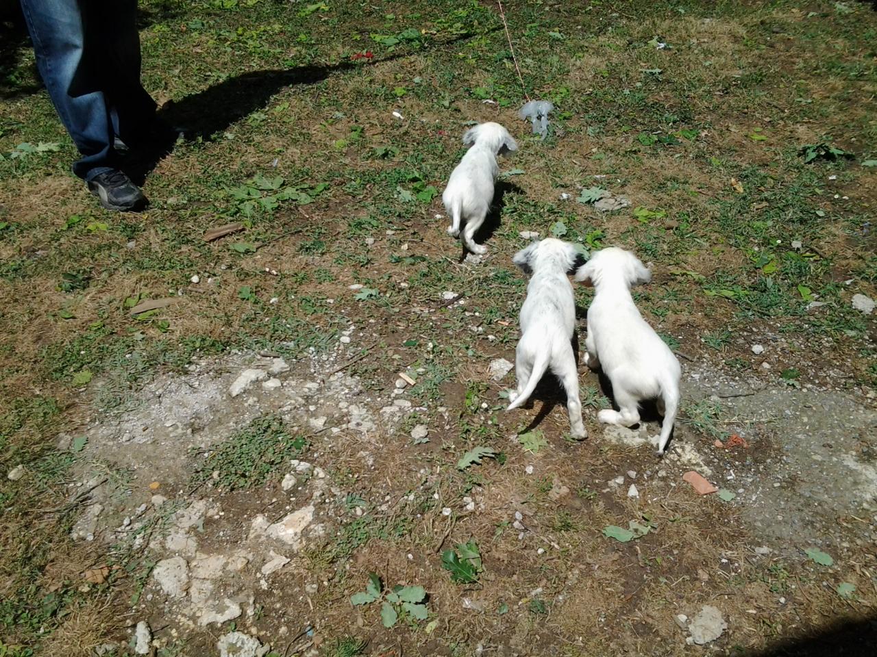 20140629_150805.jpg