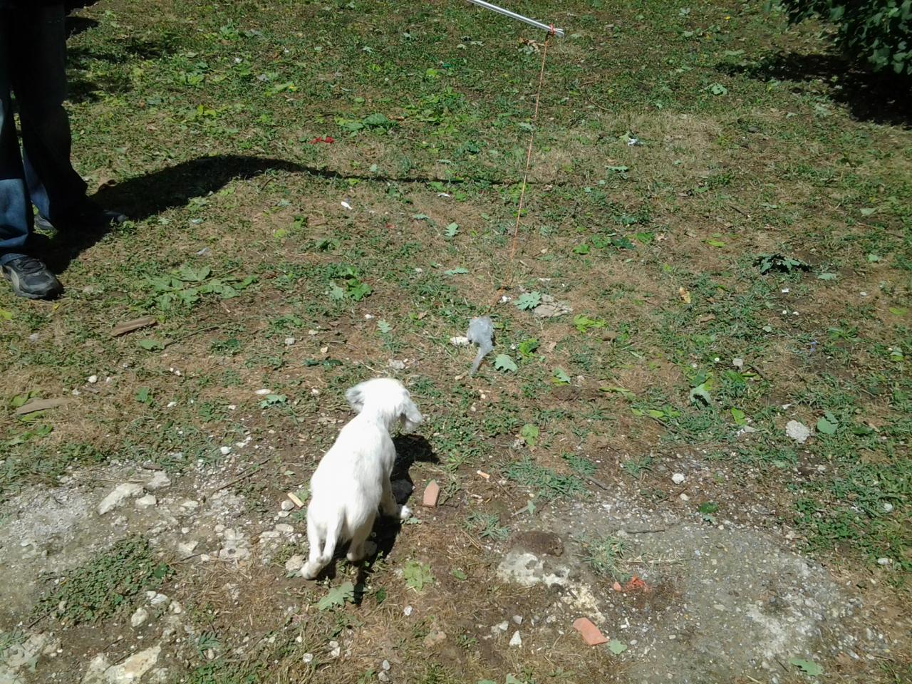 20140629_150730.jpg