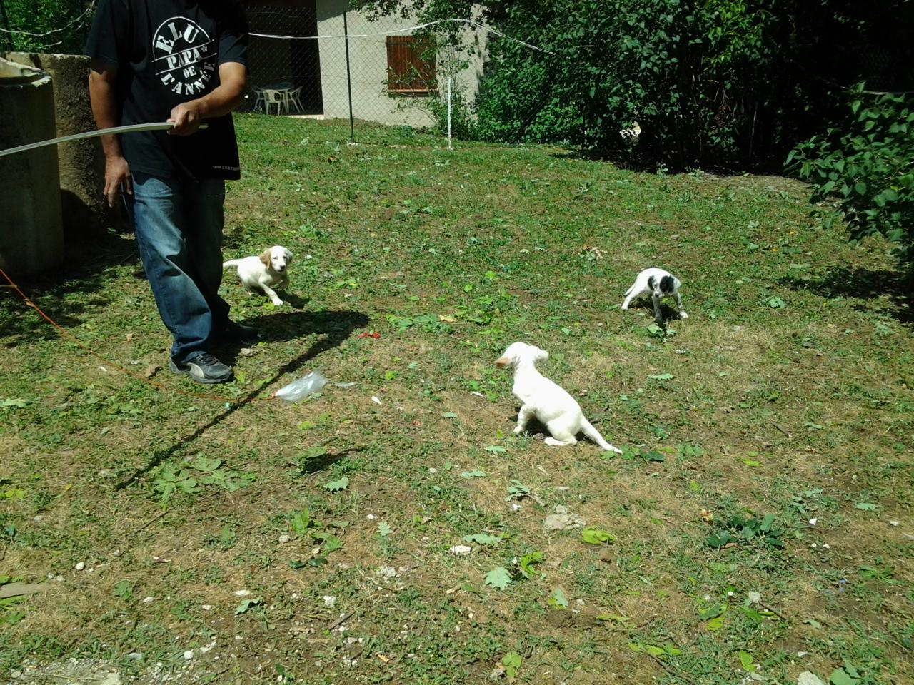 20140629_150556.jpg