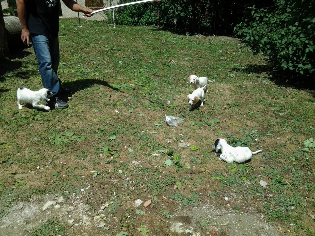 20140629_150525.jpg