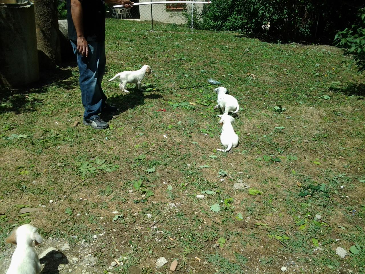 20140629_150541.jpg