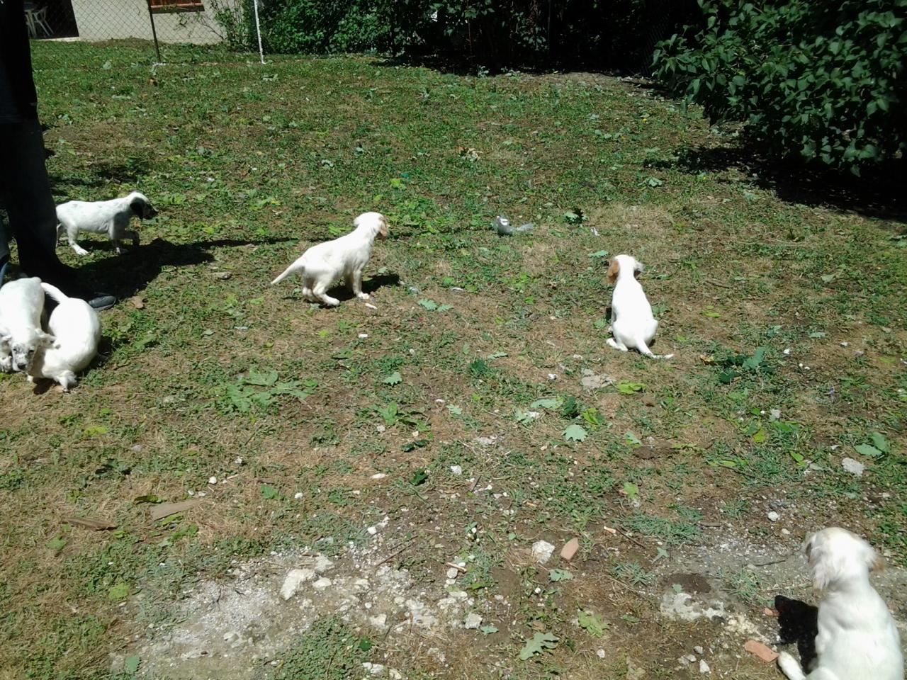 20140629_150433.jpg