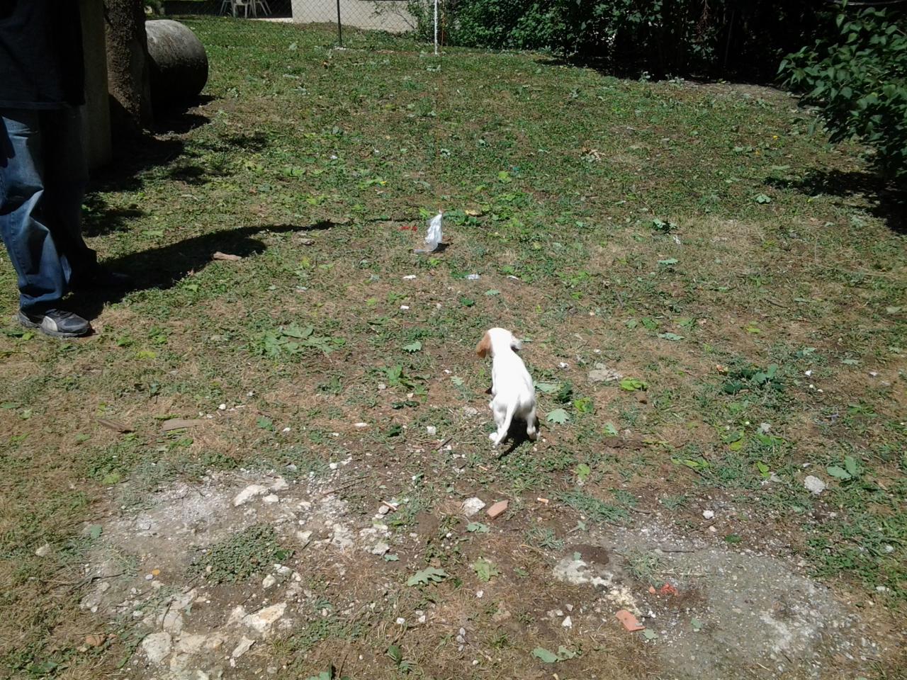 20140629_150418.jpg