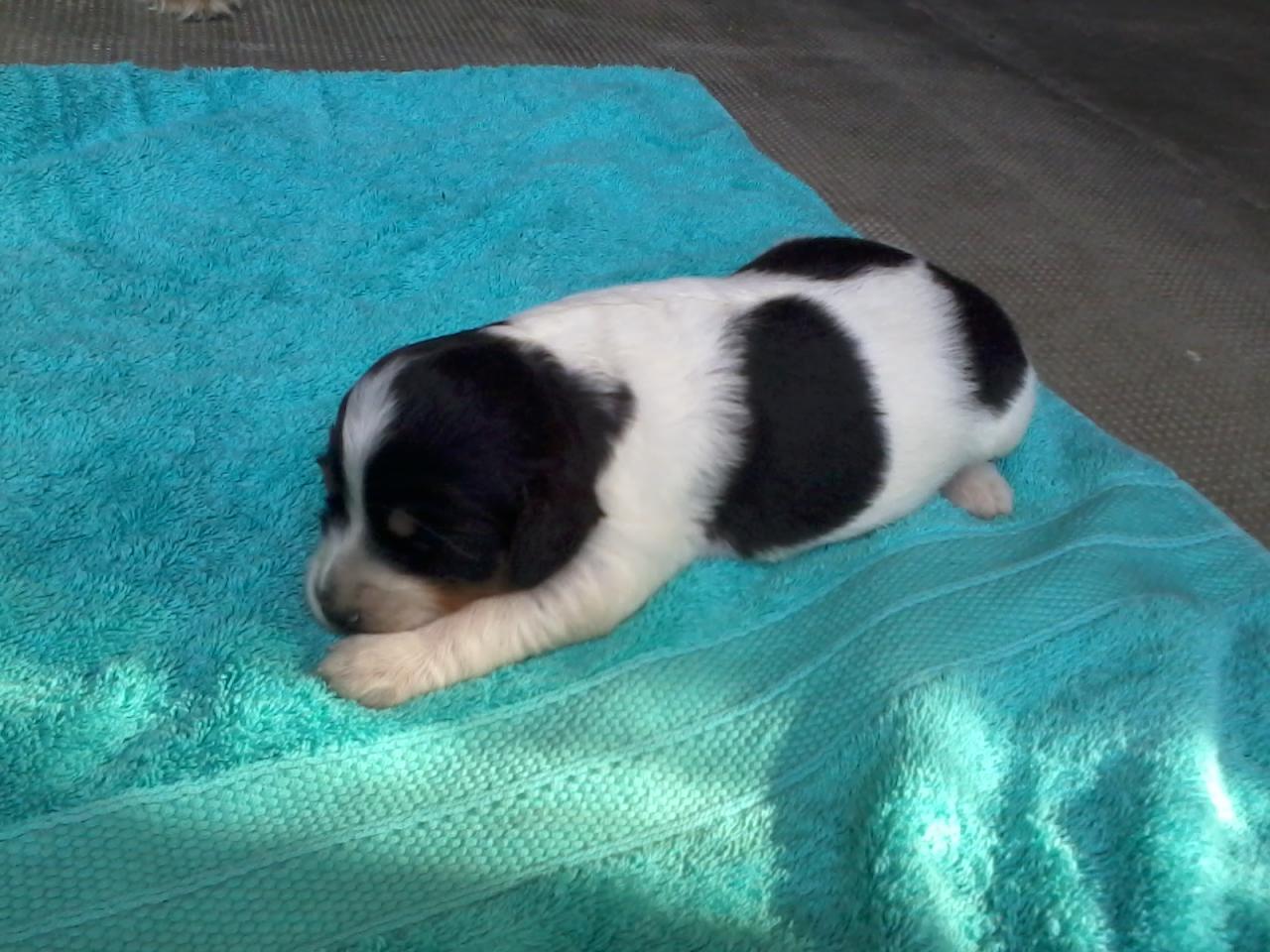 2014-06-30 18.42.53.jpg