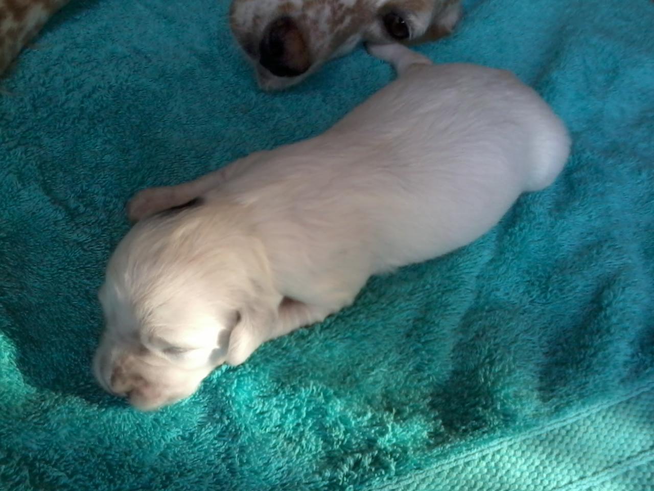 2014-06-30 18.44.33.jpg