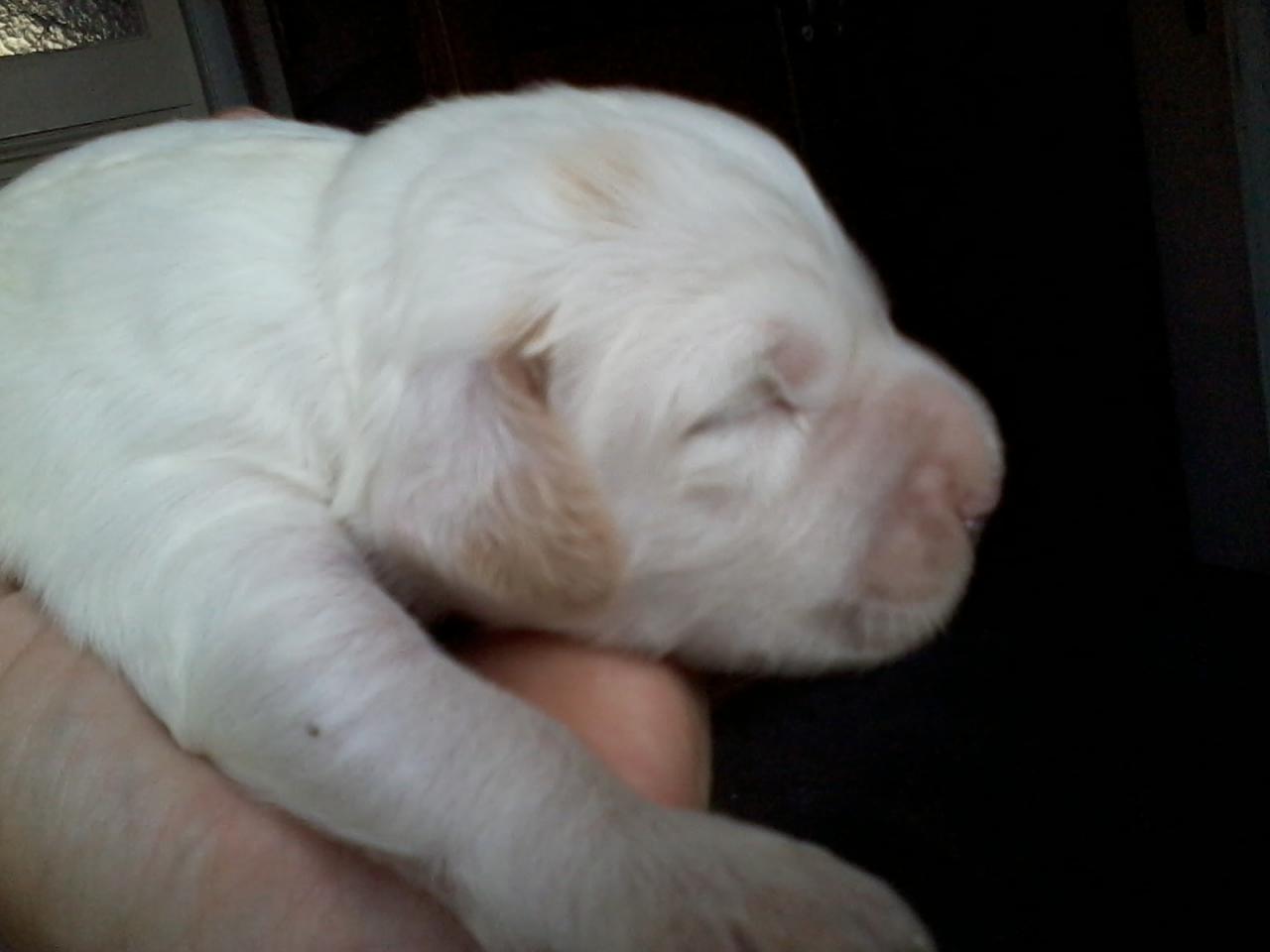 2014-06-30 18.46.51.jpg