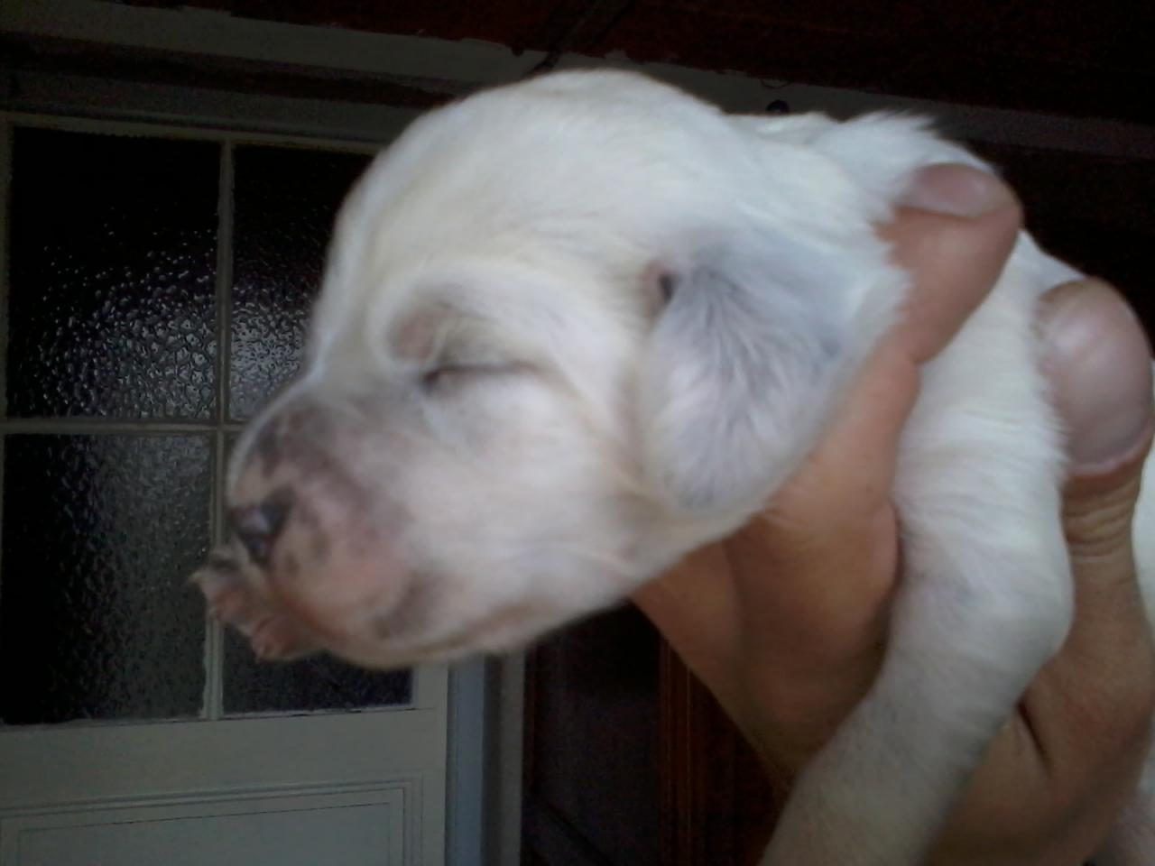 2014-06-30 18.34.17.jpg