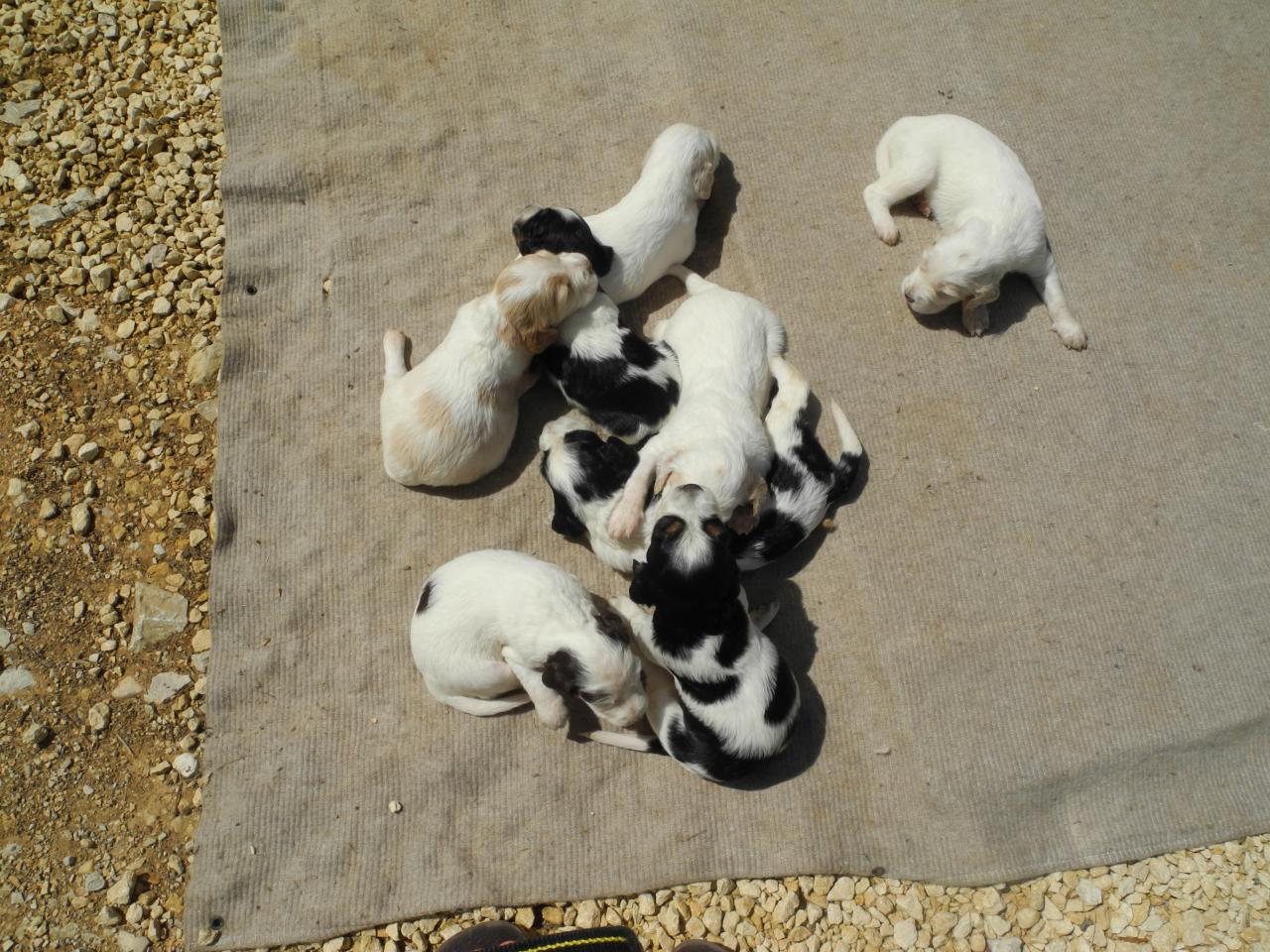 DSCN3908.JPG