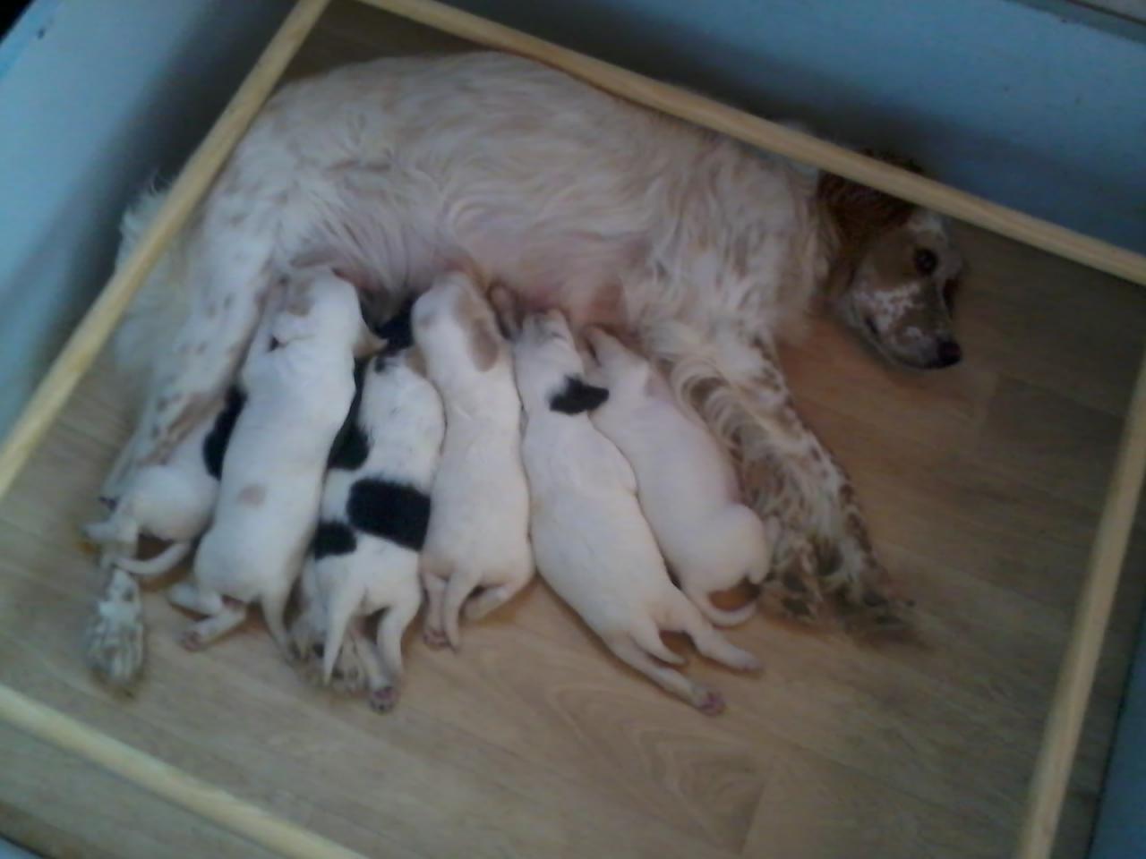 2014-07-05 11.38.58.jpg