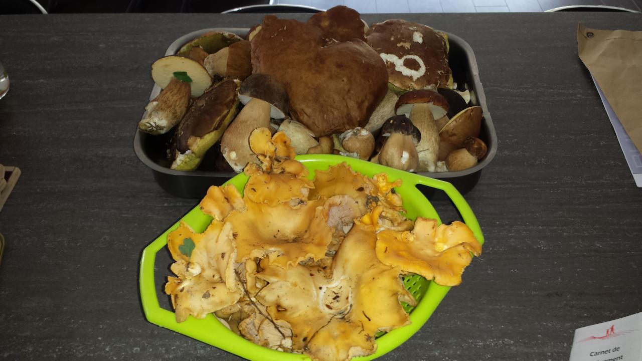 20140709_175738.jpg