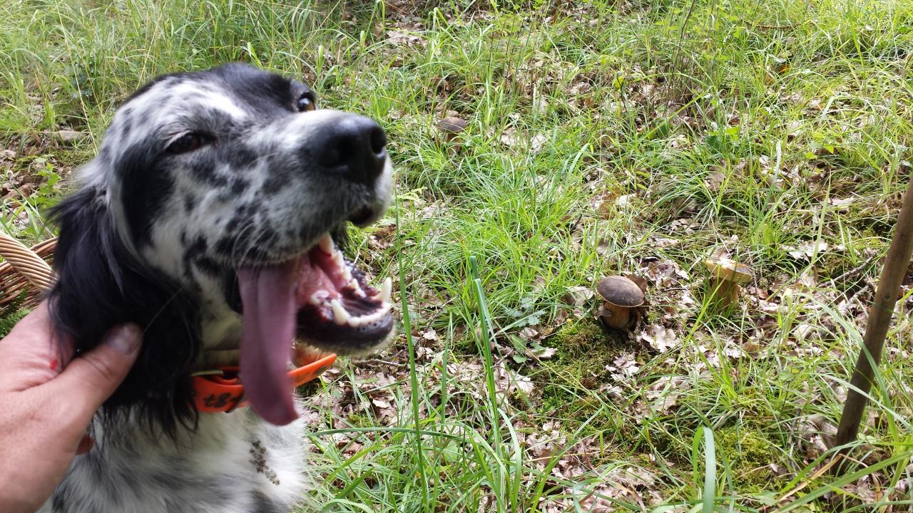 20140709_161349.jpg