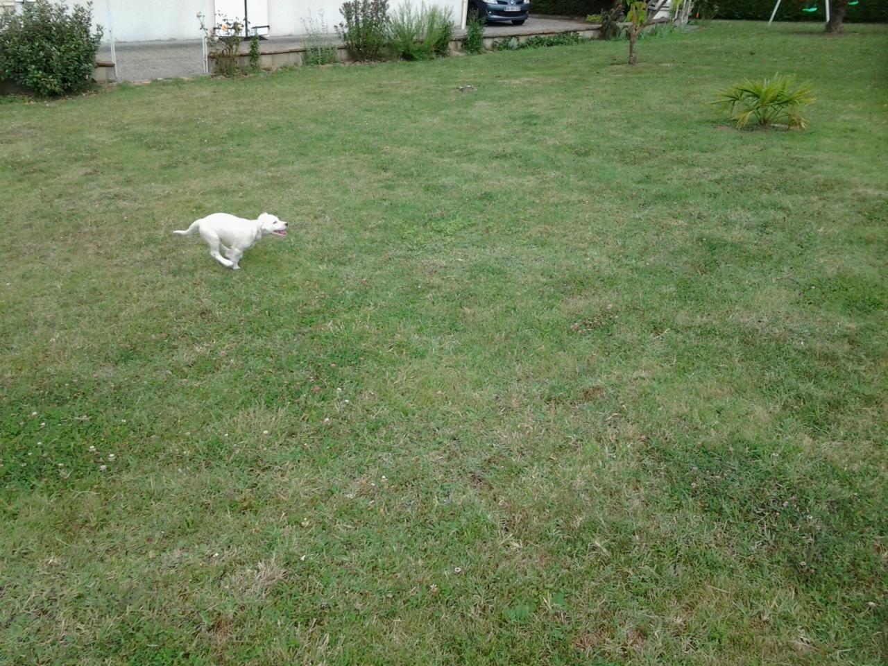 20140710_182627.jpg