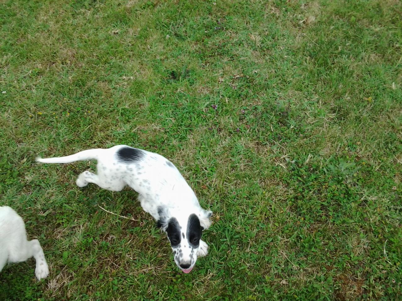 20140710_182531.jpg