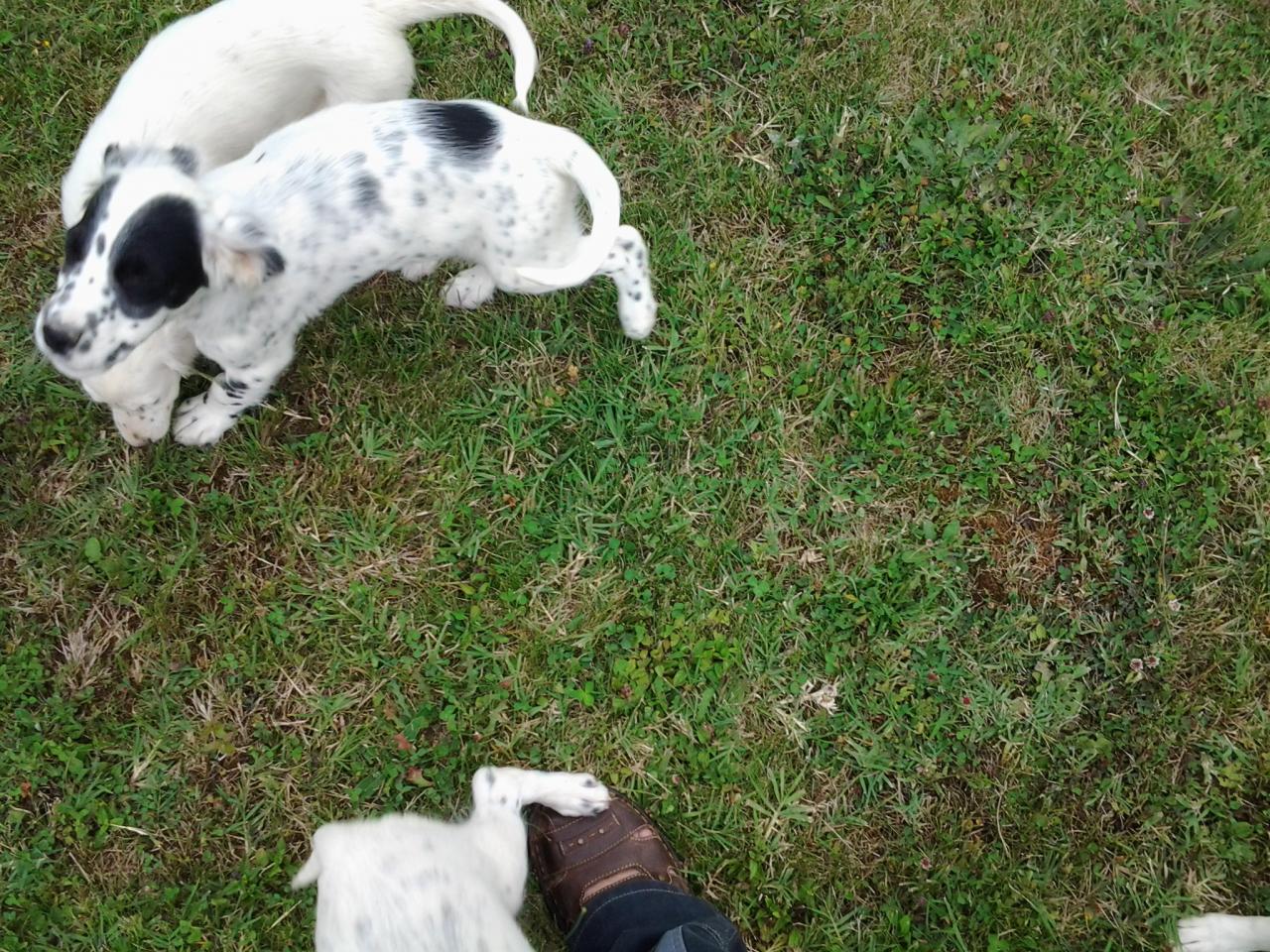 20140710_182526.jpg