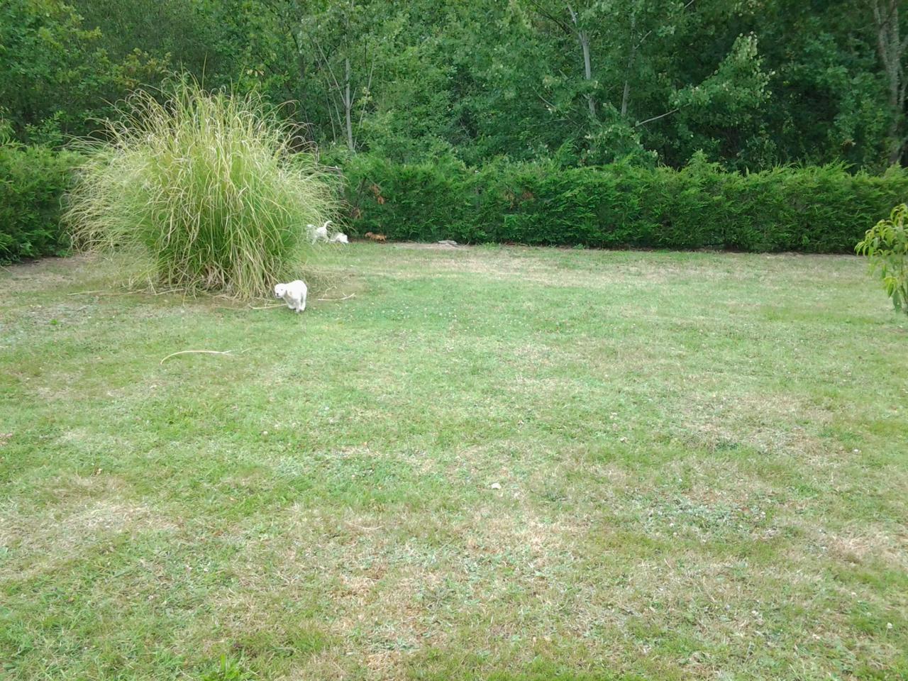20140710_182453.jpg