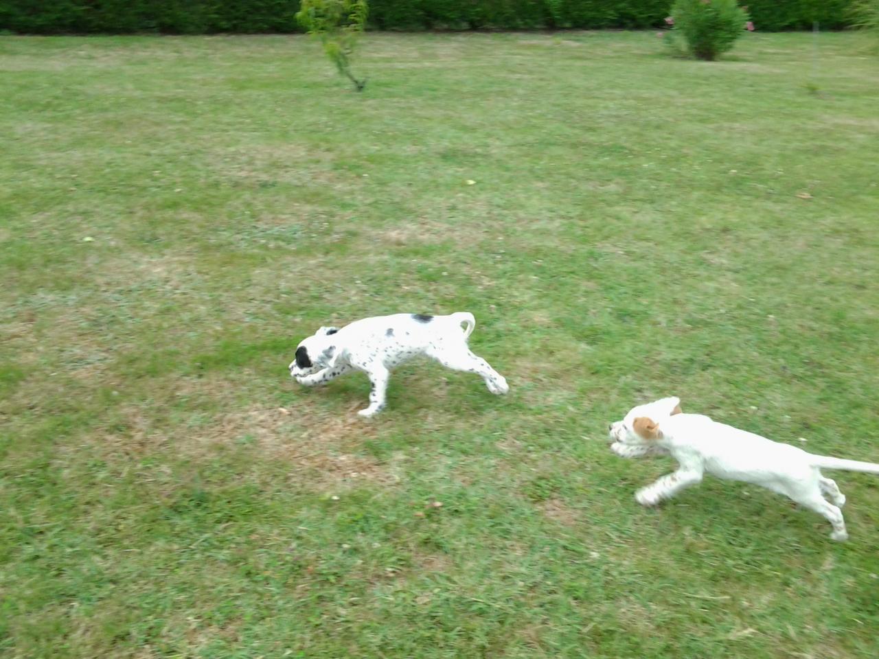 20140710_182357.jpg
