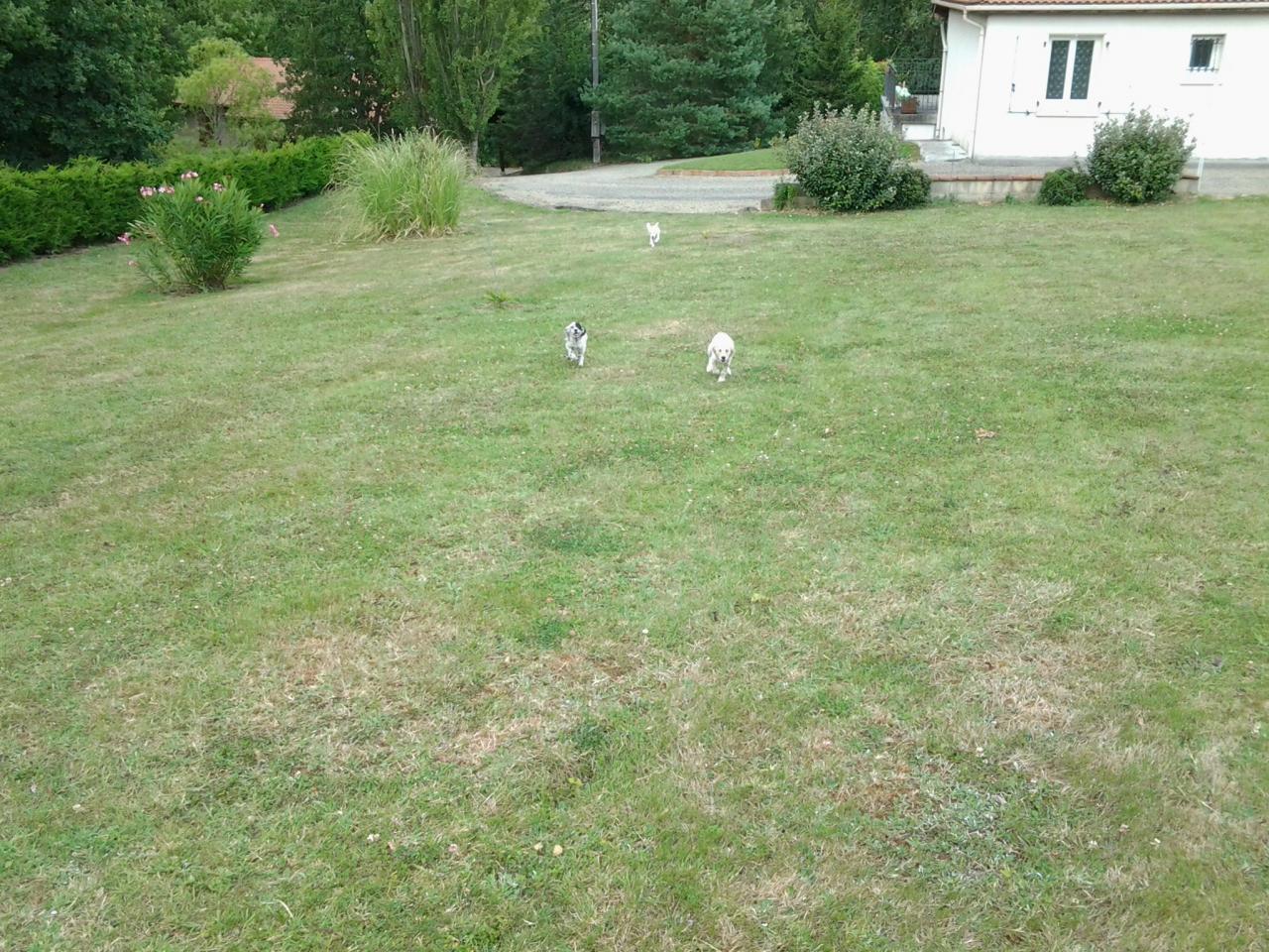 20140710_182235.jpg