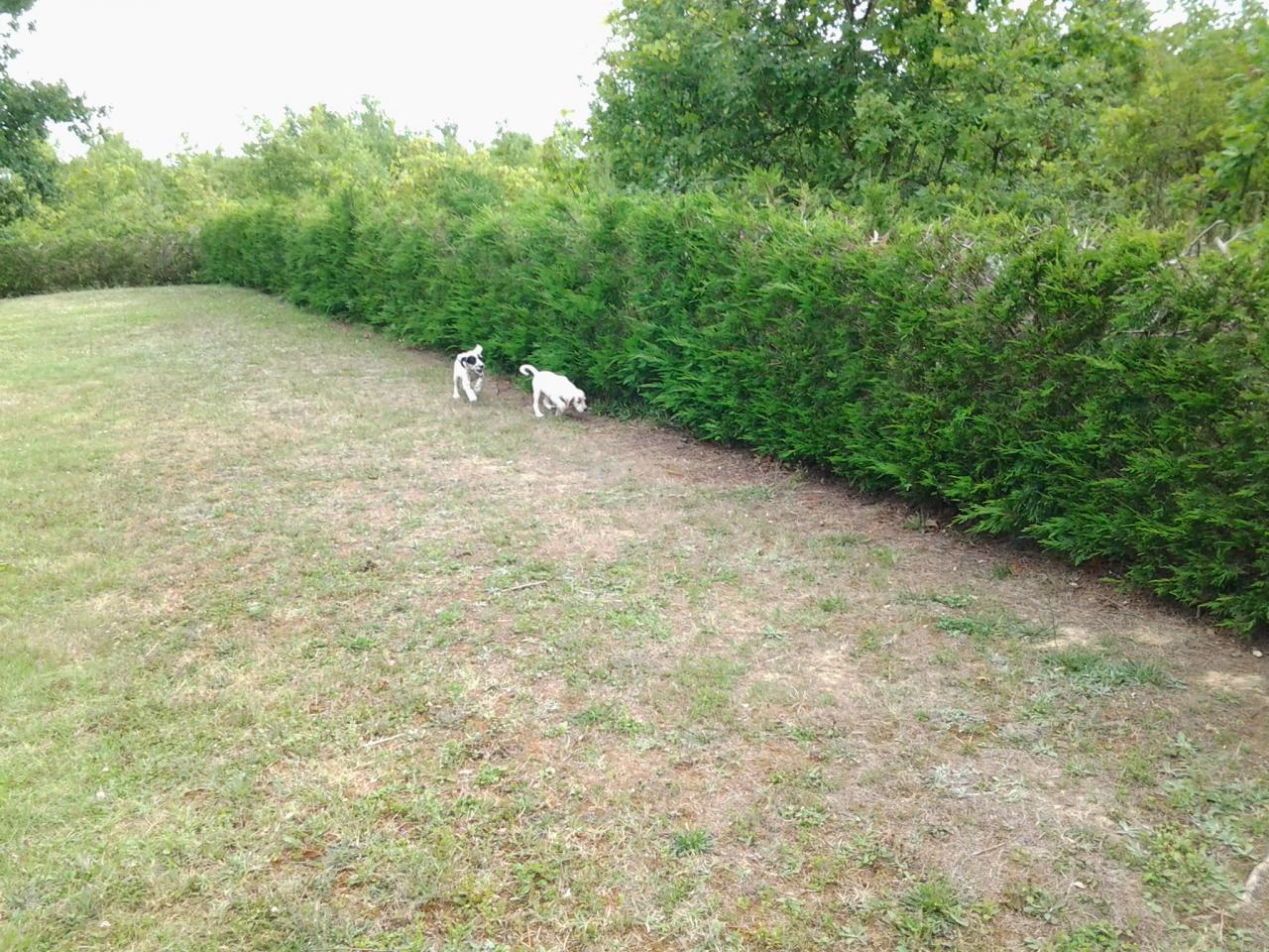 20140710_182155.jpg
