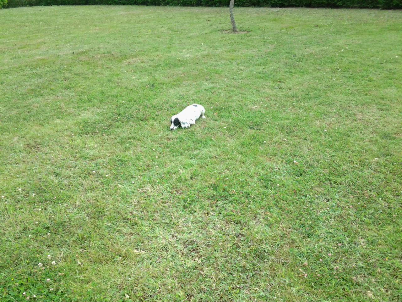 20140710_182106.jpg
