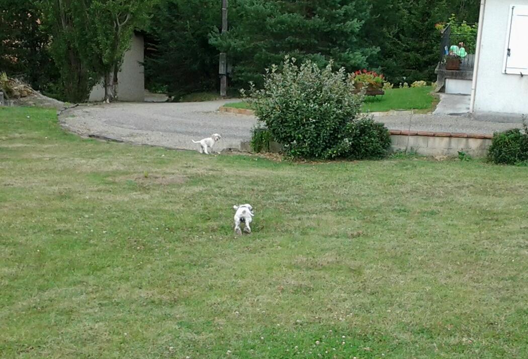 20140710_182542-1.jpg