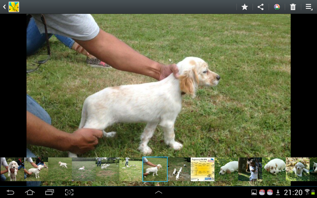 Screenshot_2014-07-12-21-20-59.png