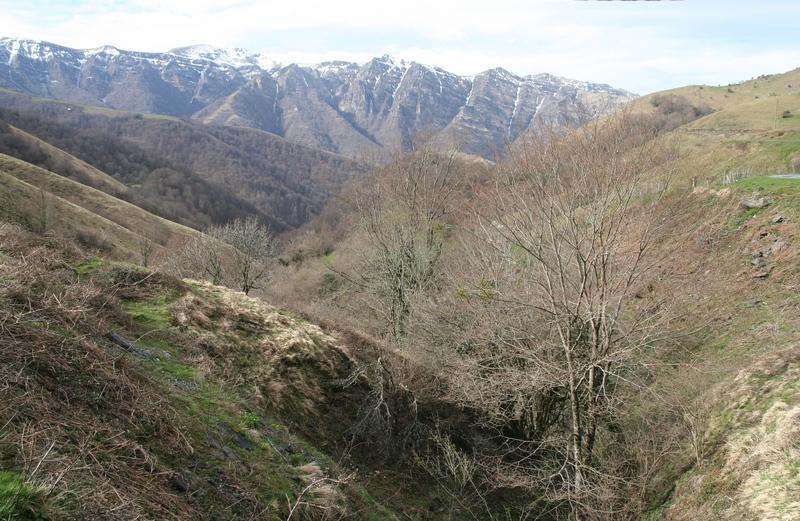 uztarila_130410_01.jpg