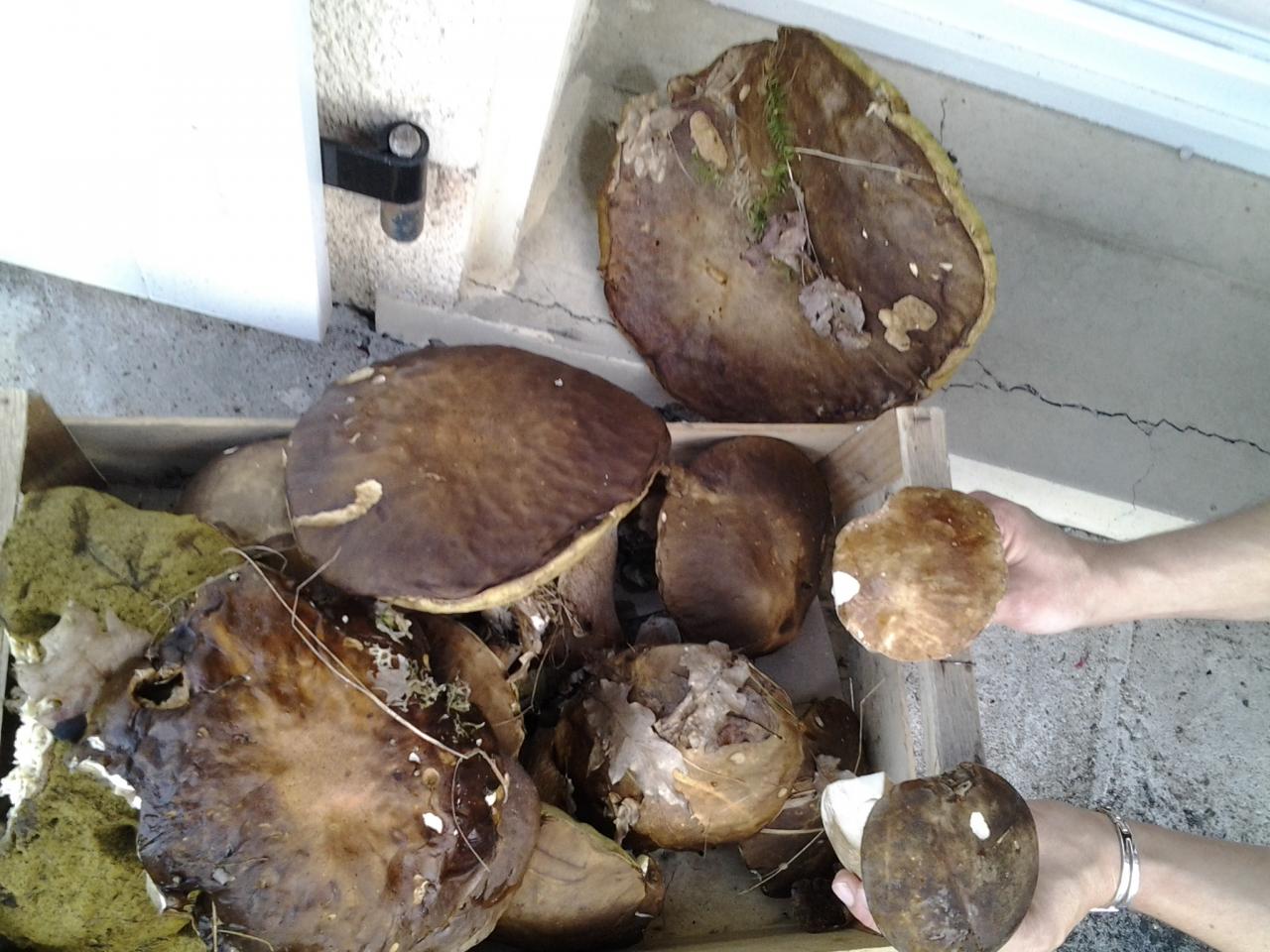20140714_185223.jpg