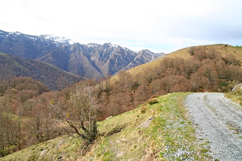 uztarila_130410_07.jpg