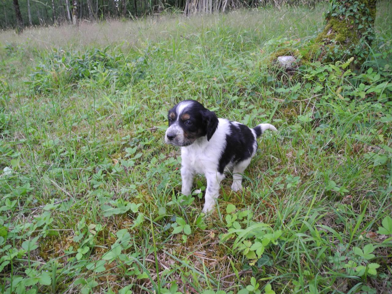 DSCN3968.JPG