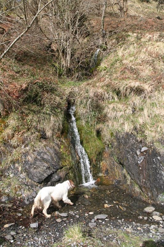 uztarila_130410_04.jpg