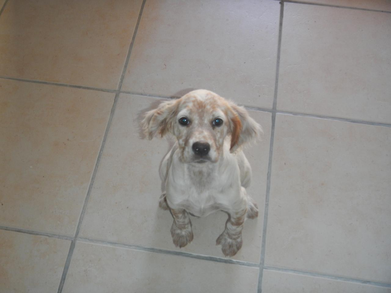 DSCN2715.JPG