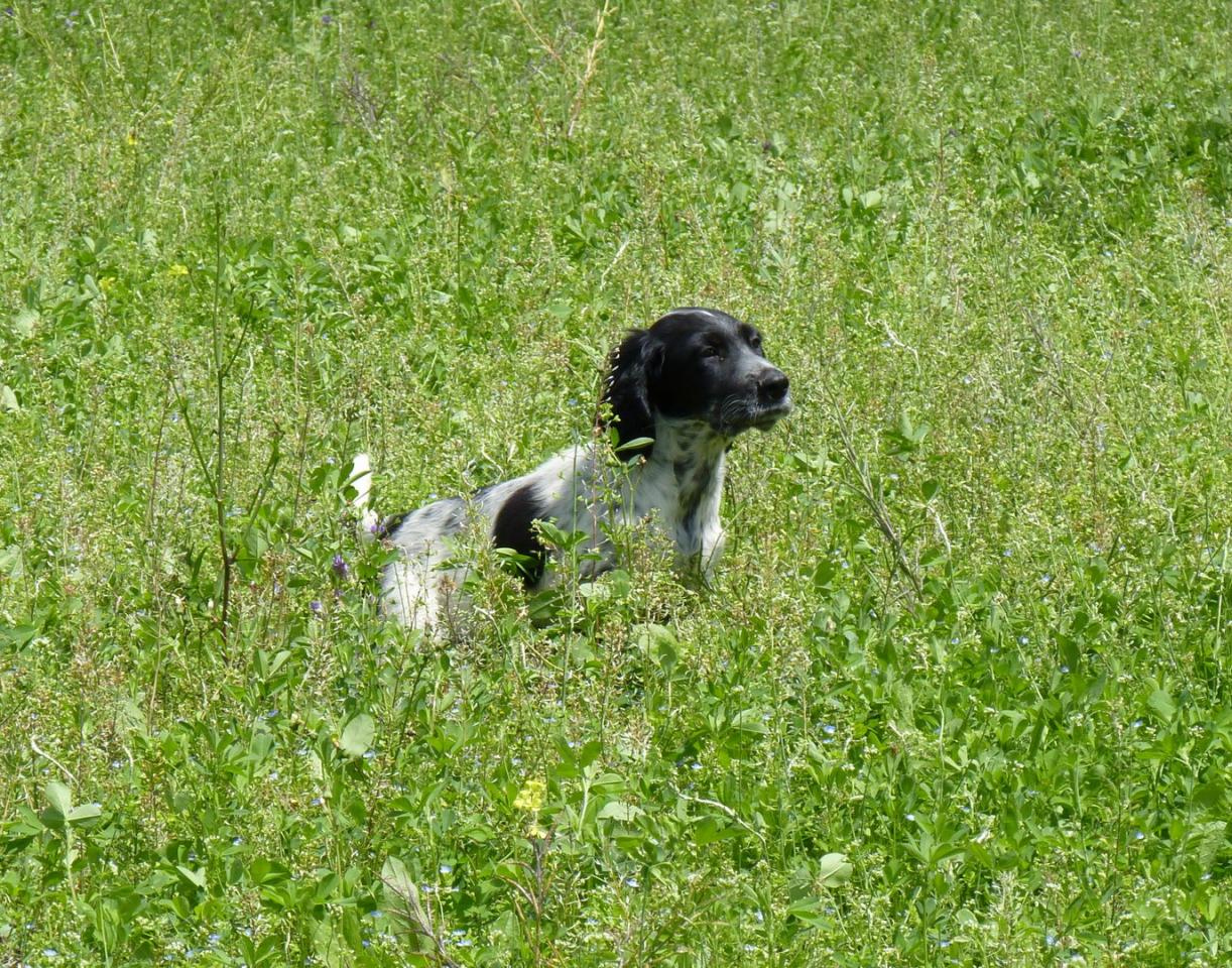 P1040358-1 (Copier).jpg