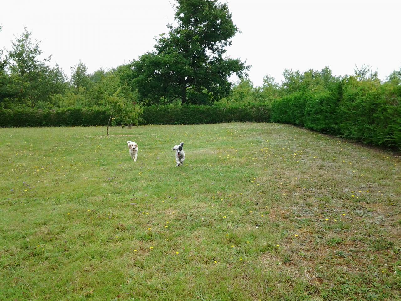 20140726_111910.jpg