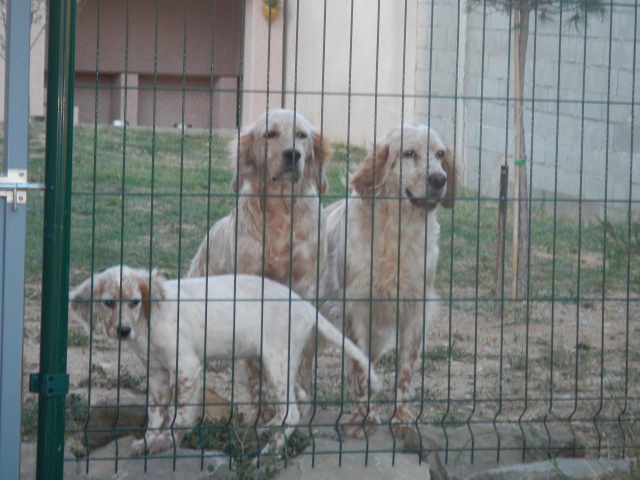 DSCN2826.JPG