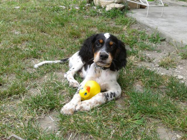 2014-08-02_14 37 44.jpg