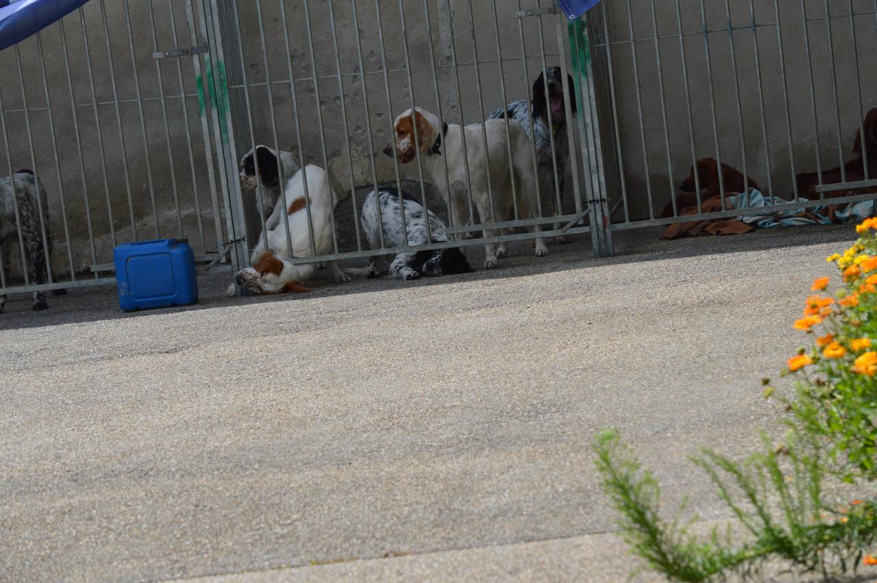 DSC_0204.JPG