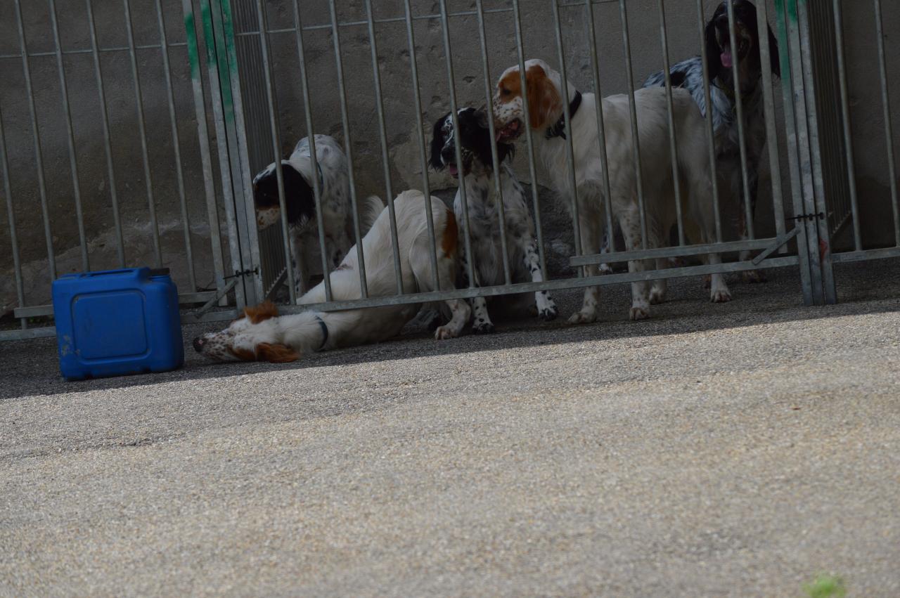 DSC_0205.JPG