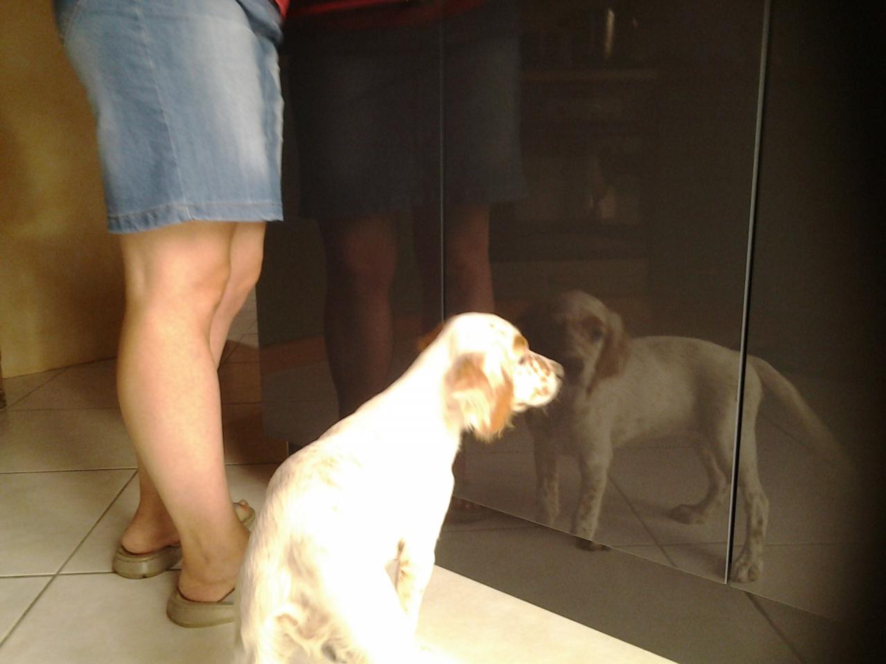 20140808_191713.jpg
