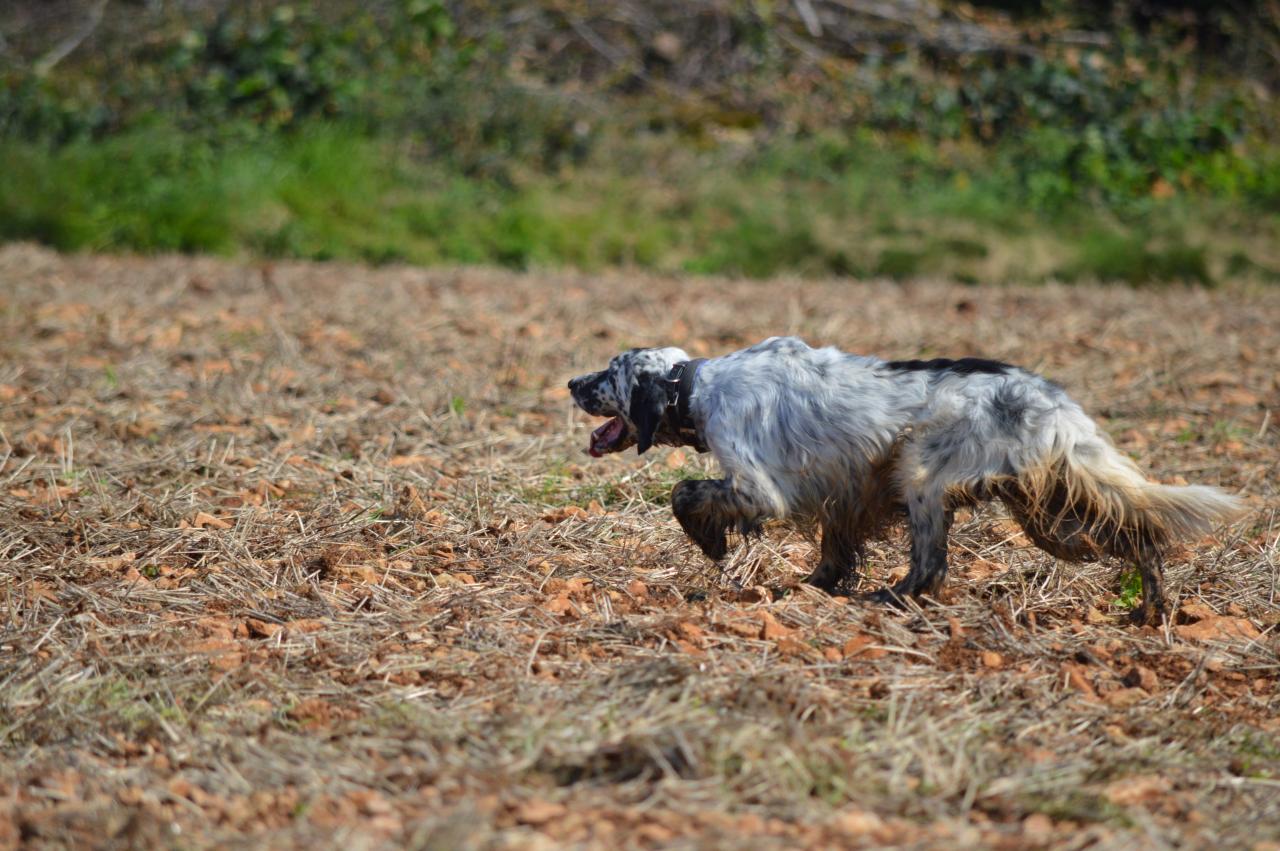 DSC_0533.JPG